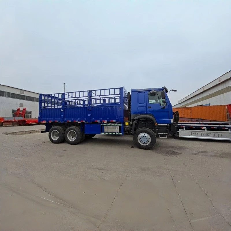 HOWO 6x6 Cargo Truck price